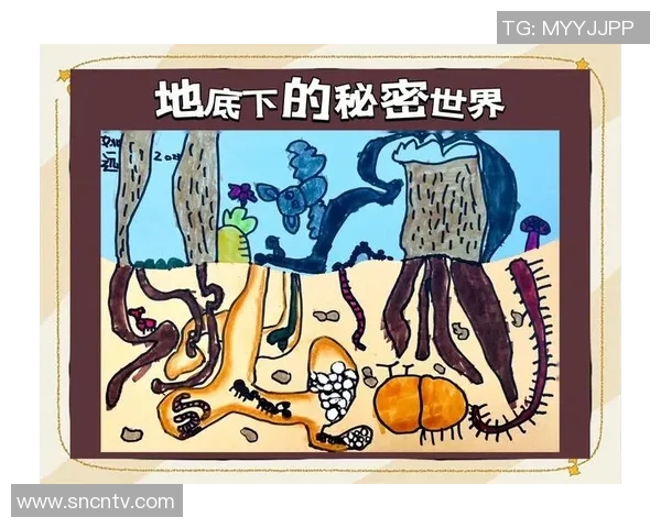 探索弗林斯的神秘世界揭示未知的历史与文化之旅